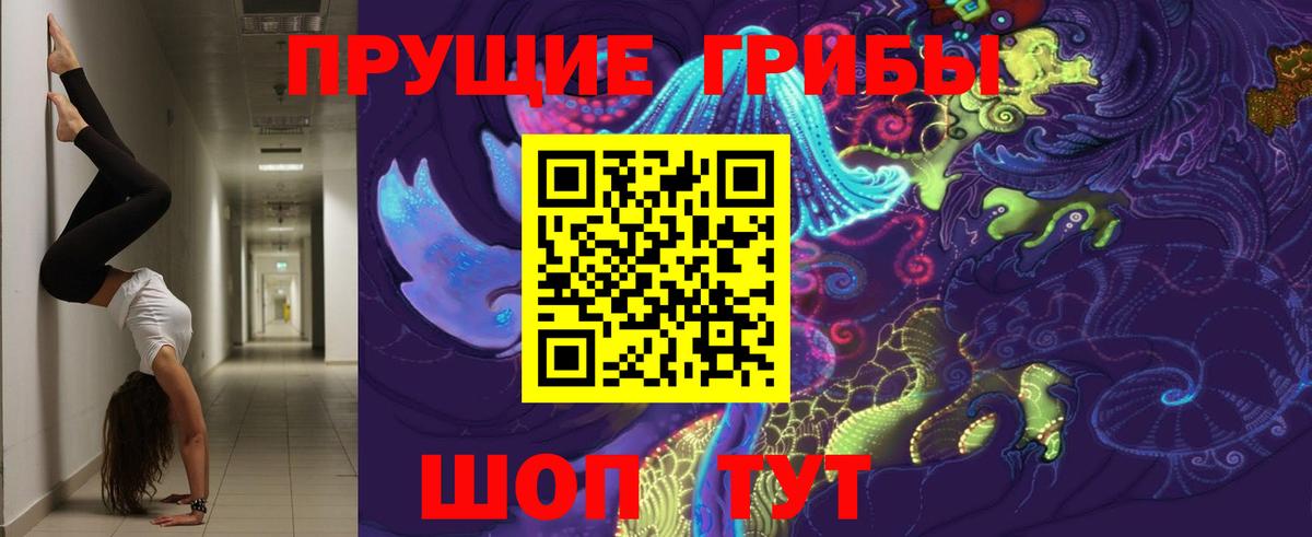 Галлюциногенные грибы прущие грибы Славянск-на-Кубани